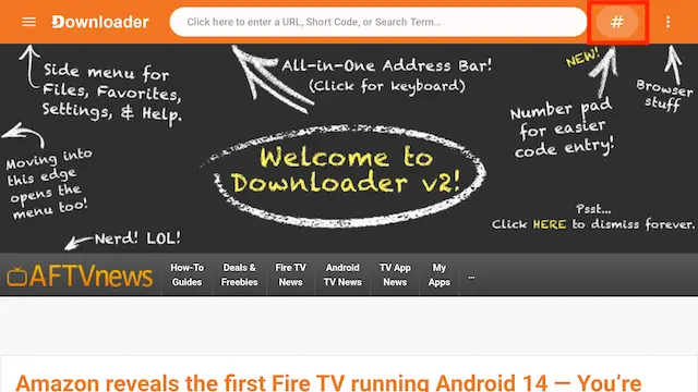Enter a URL or Search Term on a Fire TV Device